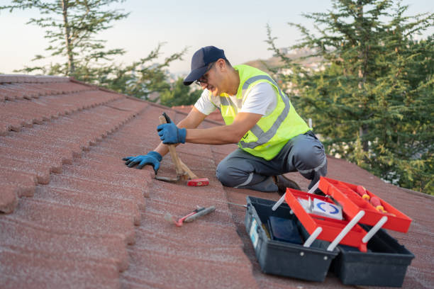 Best Roof Gutter Cleaning  in Enon, OH