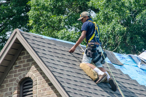 Best Storm Damage Roof Repair  in Enon, OH